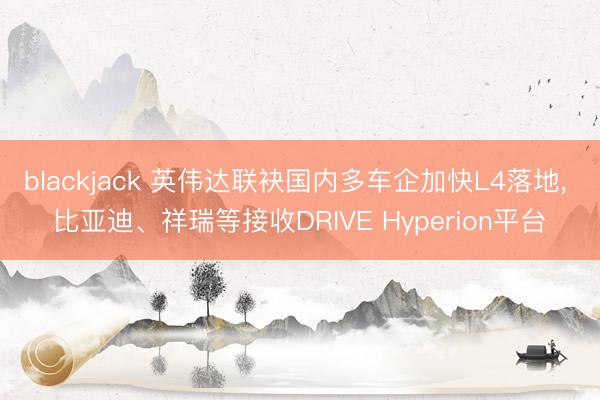 blackjack 英伟达联袂国内多车企加快L4落地, 比亚迪、祥瑞等接收DRIVE Hyperion平台