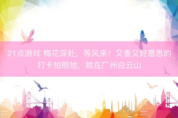21点游戏 梅花深处，等风来！又香又好意思的打卡拍照地，就在广州白云山