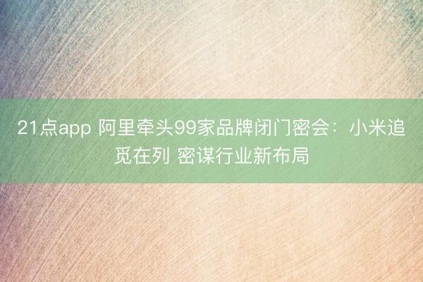 21点app 阿里牵头99家品牌闭门密会：小米追觅在列 密谋行业新布局